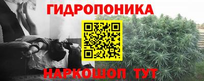 стаф Краснознаменск