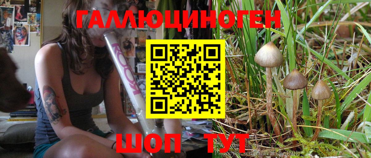 Псилоцибиновые грибы Magic Shrooms  Вход с VPN  Кириши 